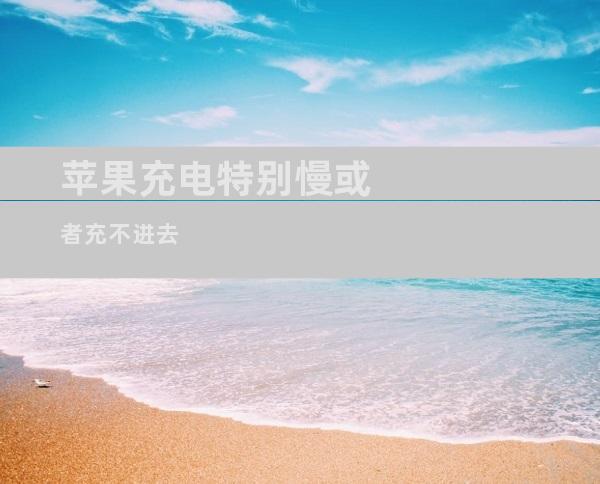 苹果充电特别慢或者充不进去