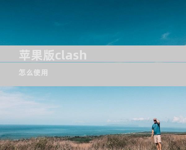 手机使用clash