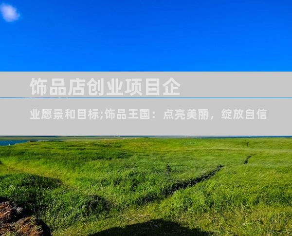 饰品店创业项目企业愿景和目标;饰品王国：点亮美丽，绽放自信