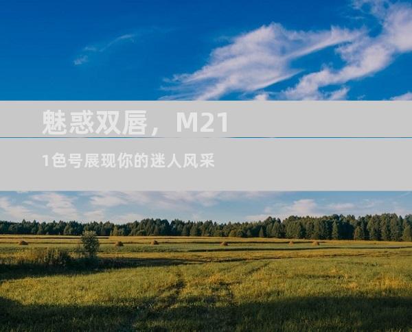 魅惑双唇，M211色号展现你的迷人风采