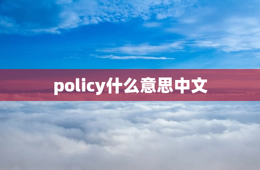 policy什么意思中文