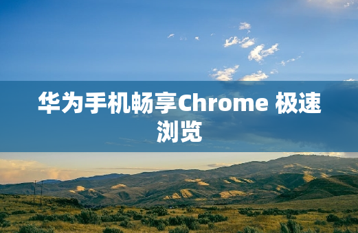 华为手机畅享Chrome 极速浏览